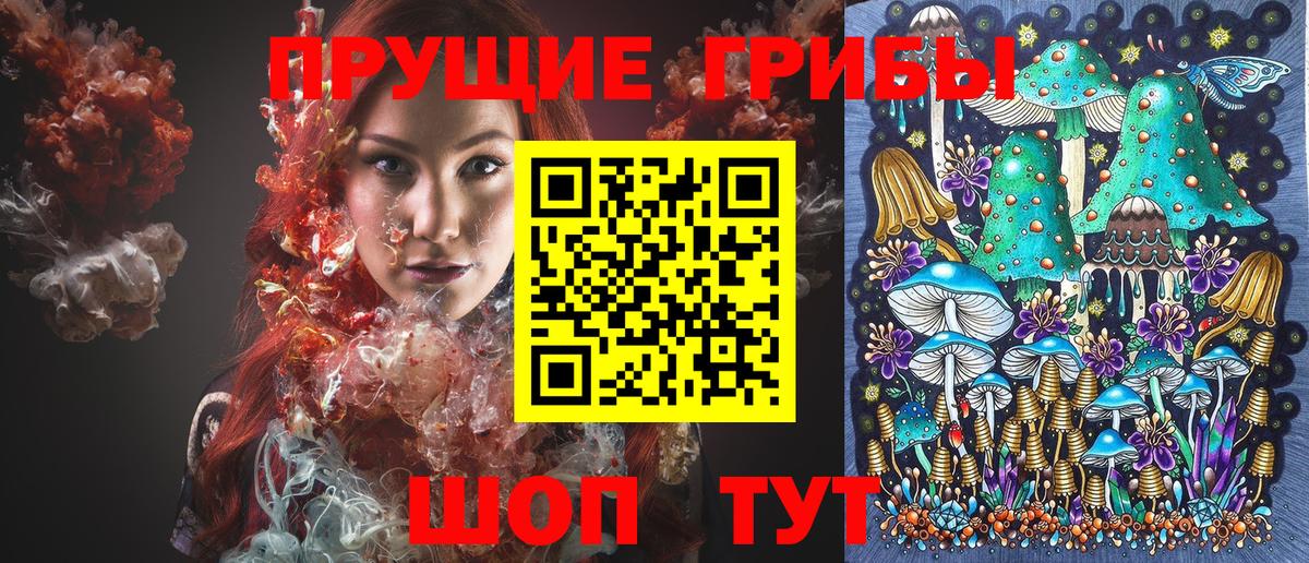 Галлюциногенные грибы прущие грибы  Вход с VPN  Братск 